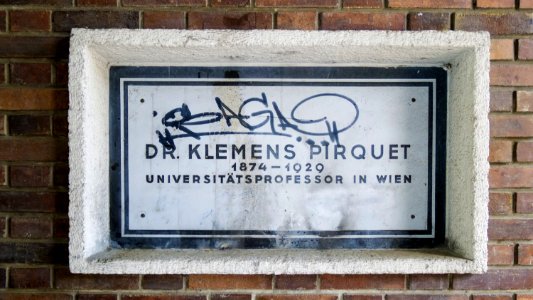 Wien 16 Pirquethof m