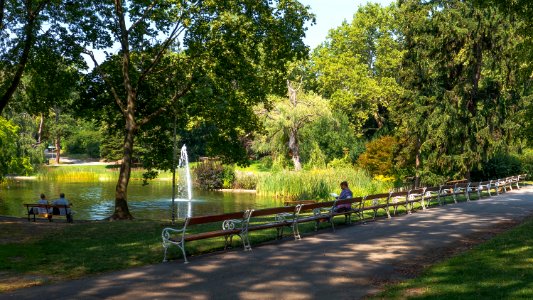 Wien 18 Türkenschanzpark ai