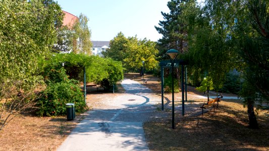 Wien 19 Alfred-Auer-Park c