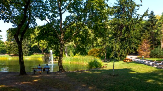 Wien 18 Türkenschanzpark aj