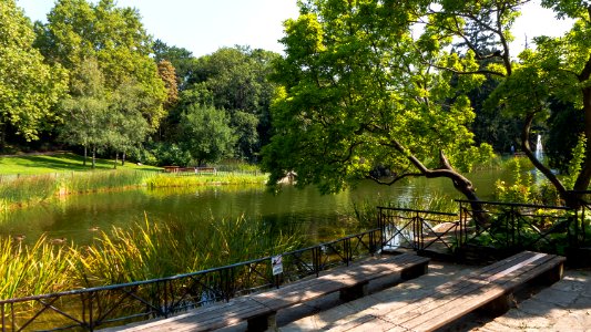 Wien 18 Türkenschanzpark af