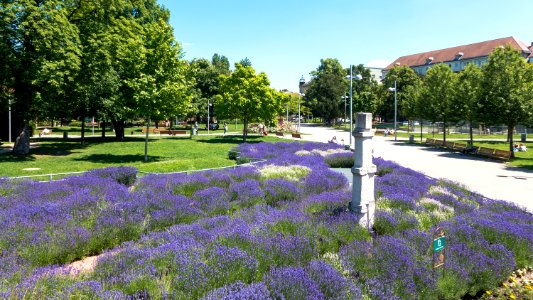 Wien 15 Märzpark c