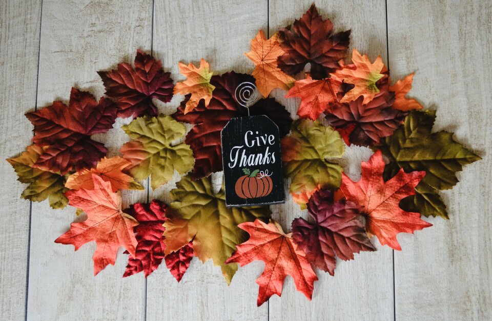 Fall colors autumn leaves