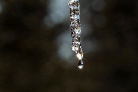 Frost icicle cold photo