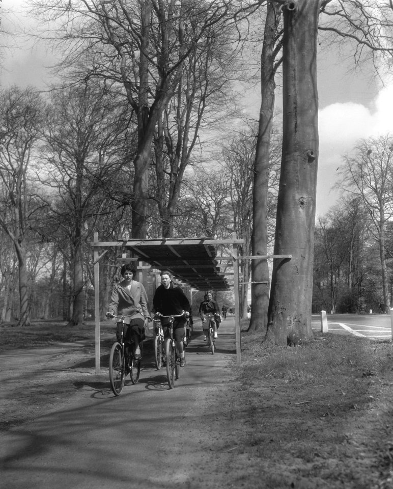 Wielrijders beschermd tegen de uitwerpselen der reigers te Meiloo, Bestanddeelnr 910-3259
