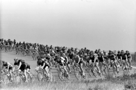 Wielrennen te Zandvoort. Het rennersveld, Bestanddeelnr 915-3689