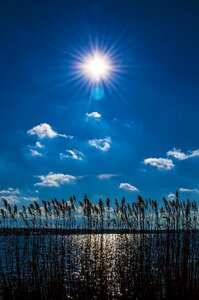 Landscape outdoors summer