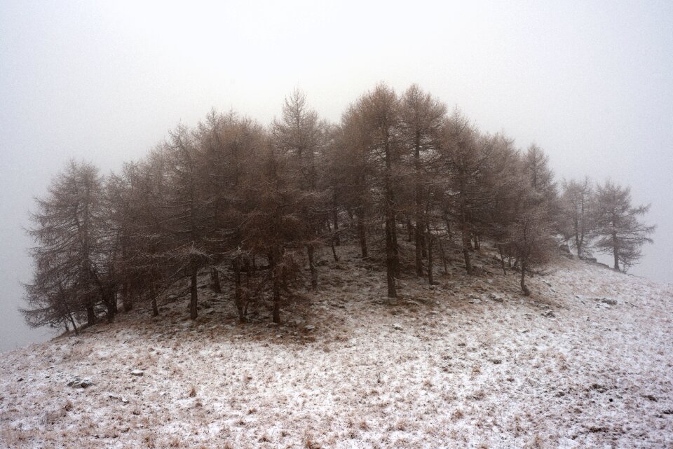 Nature fog mountain photo