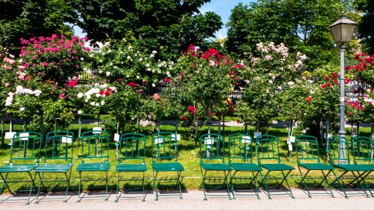 Wien 01 Volksgarten x
