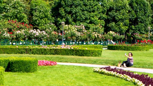 Wien 01 Volksgarten s