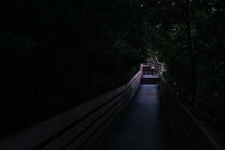 Alone pathway bridge photo