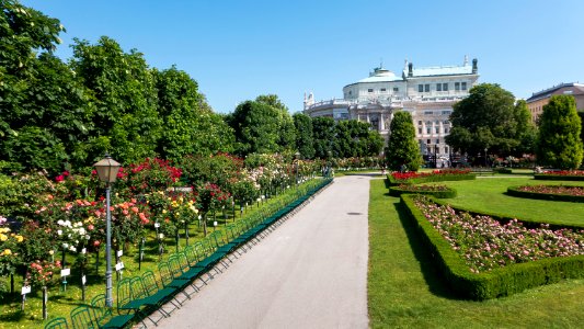 Wien 01 Volksgarten r