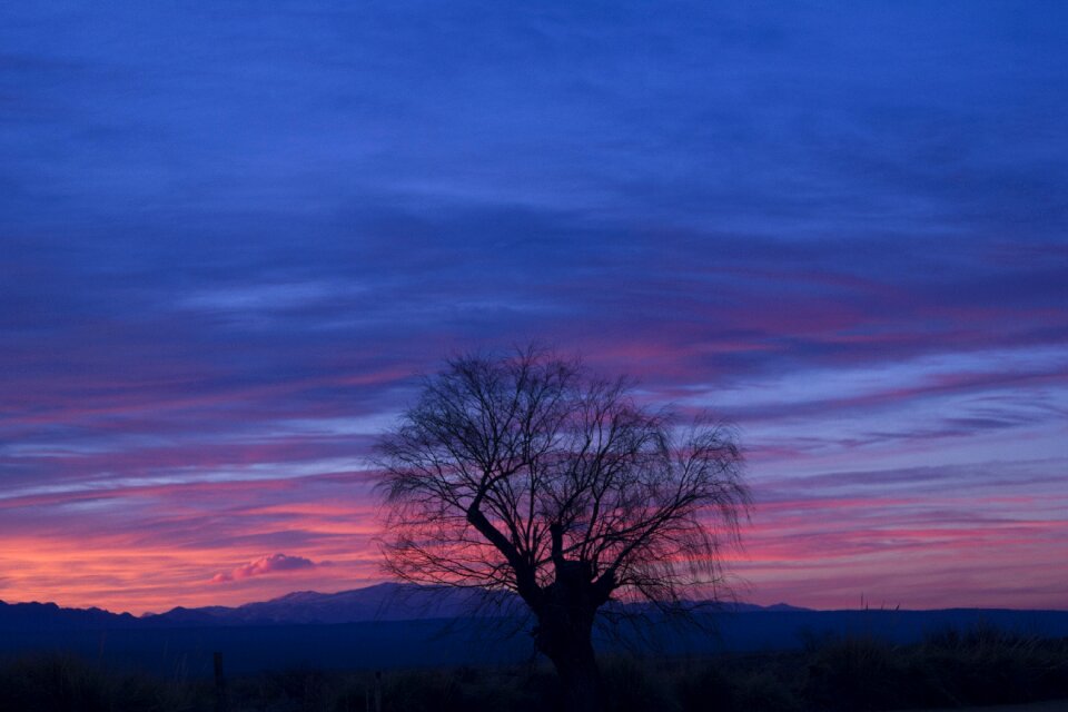 Nature horizon calm