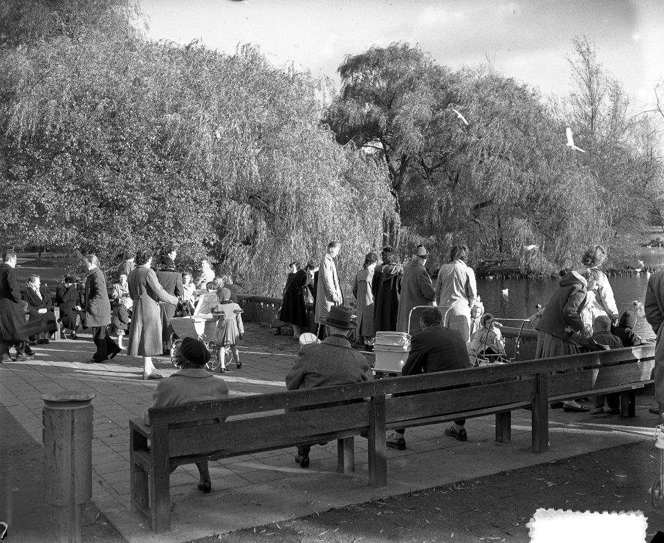 Zomerstemming in november in Vondelpark, Bestanddeelnr 906-0955