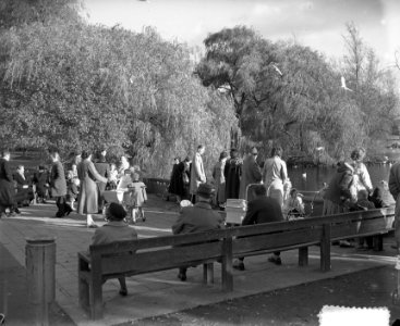 Zomerstemming in november in Vondelpark, Bestanddeelnr 906-0955