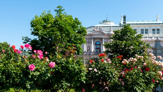 Wien 01 Volksgarten p