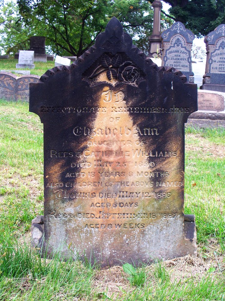 Williams (Elizabeth Ann), Homewood Cemetery, 2015-10-02, 01