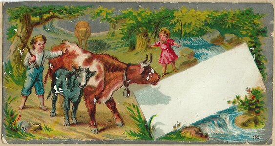 Pre-1923 cows children