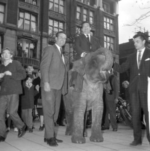 Willy Alberti op een olifant (Circus Boltini), Bestanddeelnr 913-7880