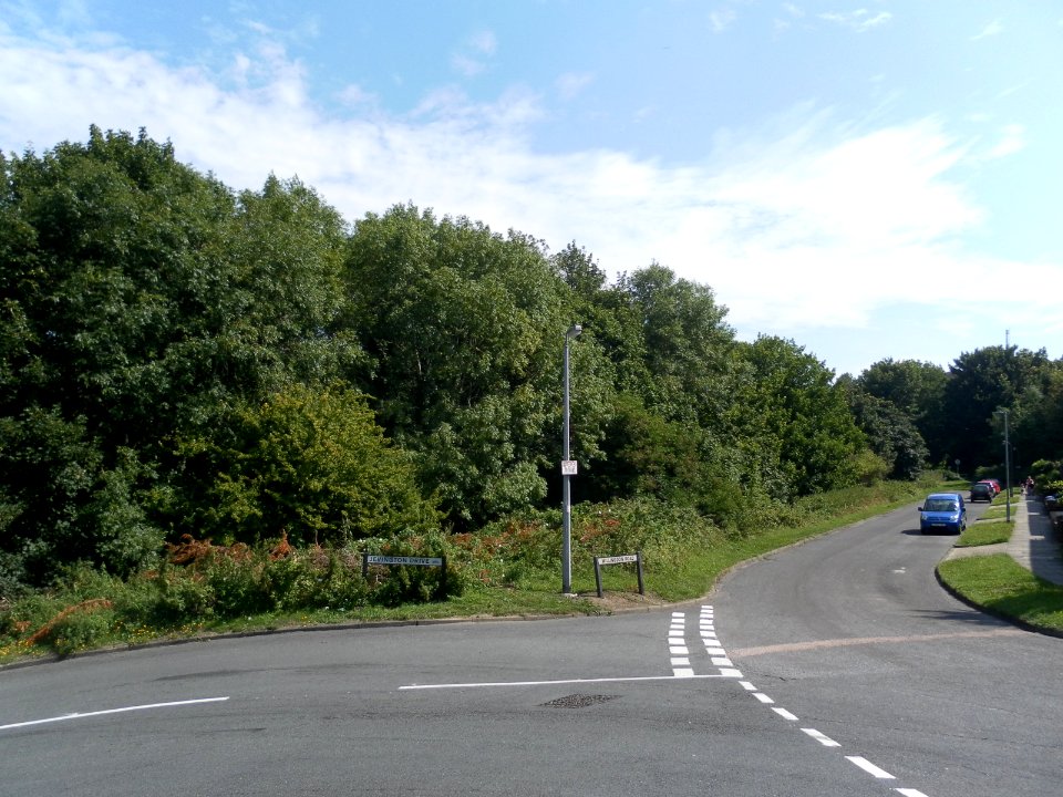 Willingdon Road, Meadowview, Brighton (August 2013) (3)