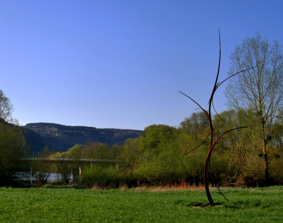 WiltingenFeuersprungH1a