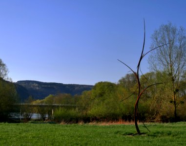 WiltingenFeuersprungH1a