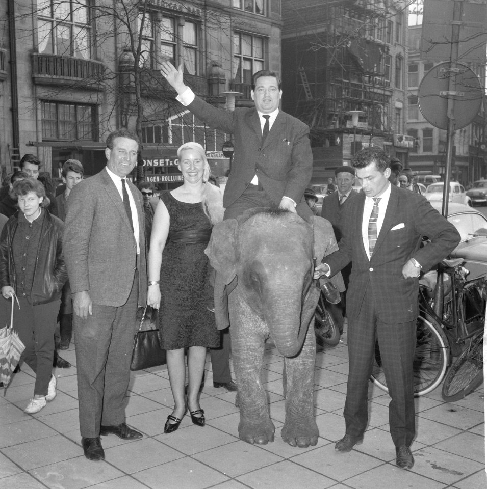 Willy Alberti op een olifant (Circus Boltini), Bestanddeelnr 913-7881