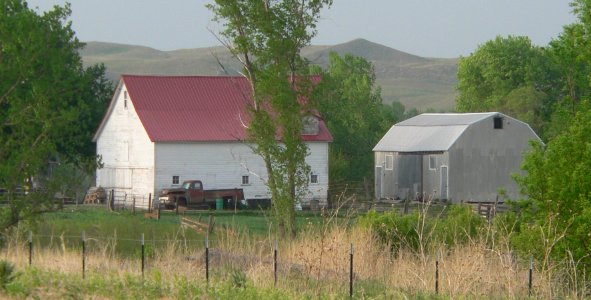 Williams homestead (Taylor, NE) horse and cattle barns