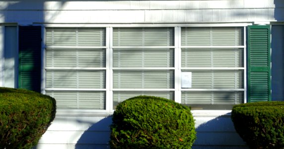 Windows - Arlington, MA - DSC03665