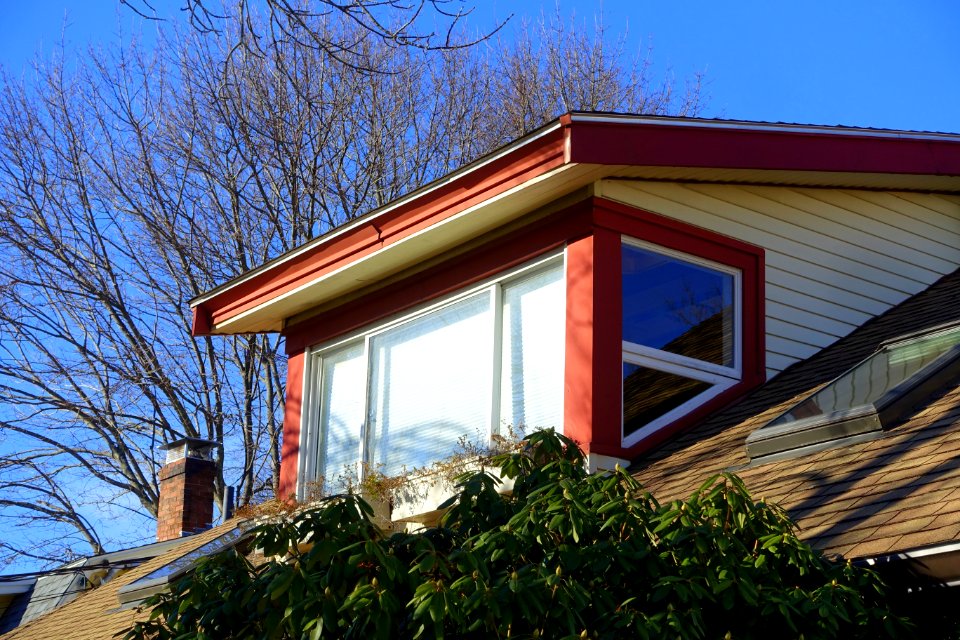 Windows - Arlington, MA - DSC03984