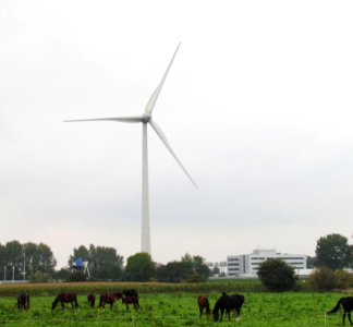 Windturbine Kloosterlanden