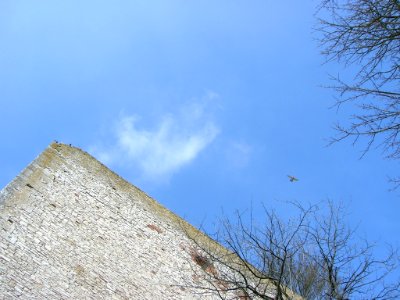 Willibaldsburg Eichstätt -Schellenbergbastion (17)