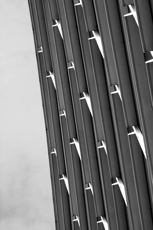 Windows (66375845)