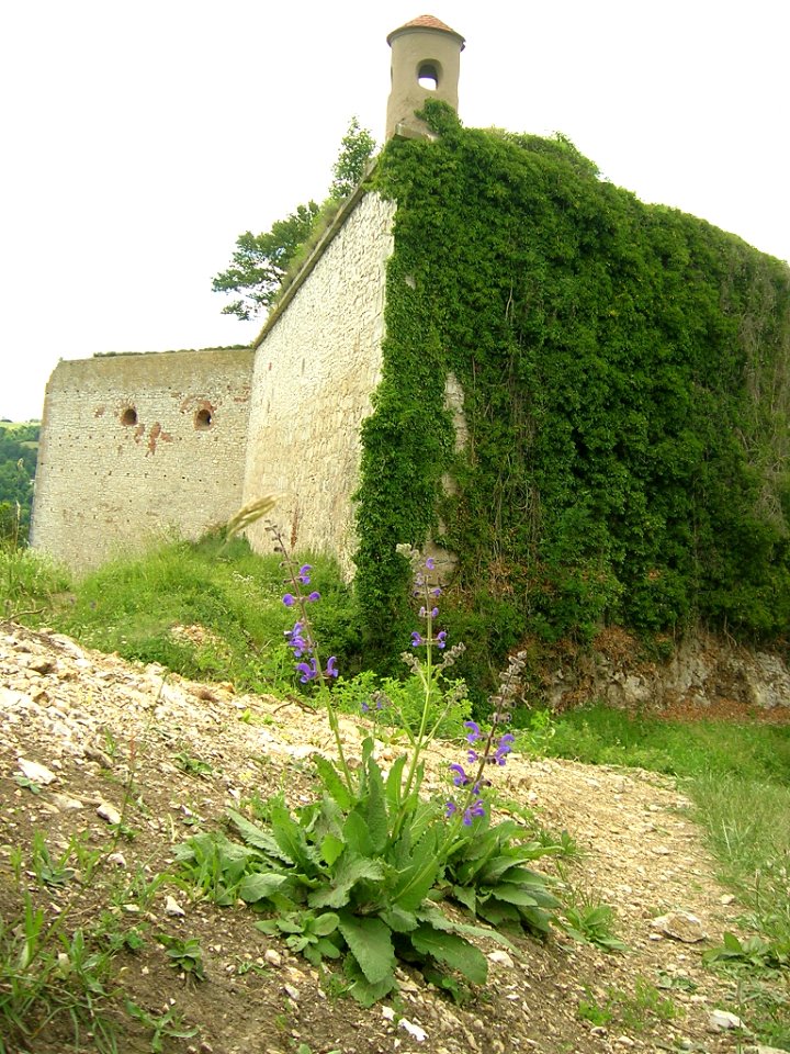 Willibaldsburg Eichstätt -Schellenbergbastion (29)