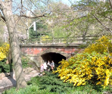 Willowdell Arch Central Park jeh photo