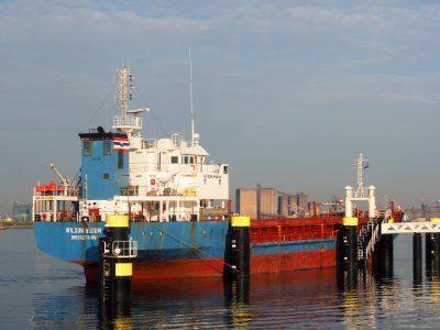 Wilson Husum (ship, 1998) IMO 9017379, Port of Rotterdam pic1 photo