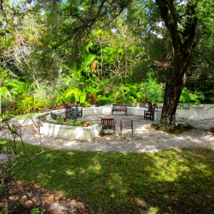 Williams House Fort Lauderdale Florida back yard 