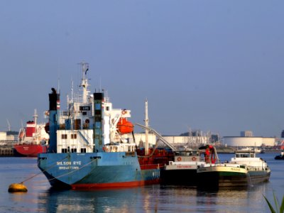 Wilson Rey IMO 7382677