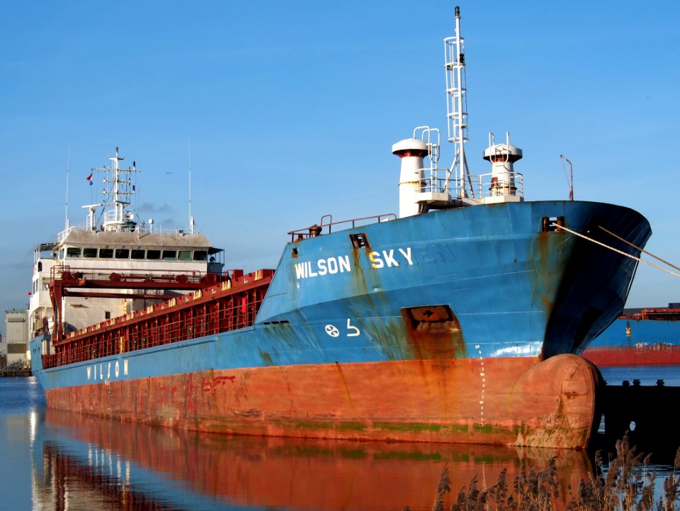 Wilson Sky IMO 9017393 - Callsign P3VJ8 Port of Amsterdam pic1