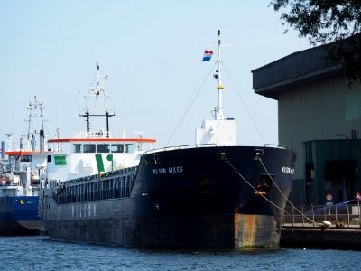 Wilson Aviles (ship, 2008) IMO 9313709, Port of Amsterdam