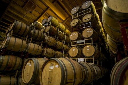 Cellar wine barrel cask photo