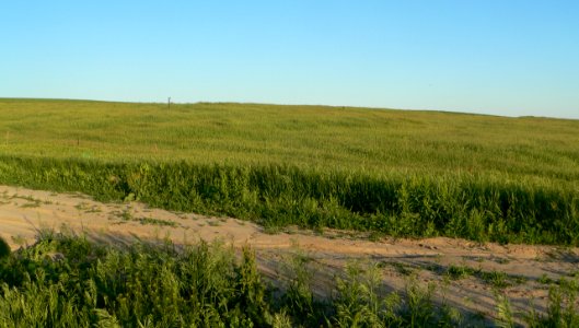 William Cather homestead site from N 2
