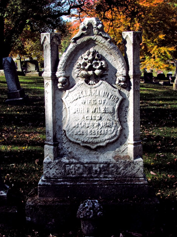 Wilson (Isabella Hamilton), Lebanon Church Cemetery, 2015-10-23, 02
