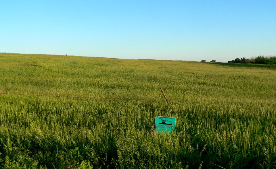 William Cather homestead site from N 1