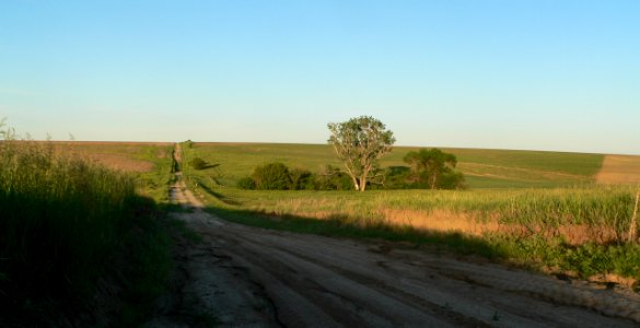 William Cather homestead site from W 1