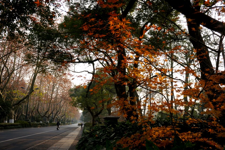 Winter In Xihu China (230618791)