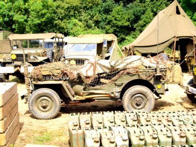 Willys MB or Ford GPW pic3