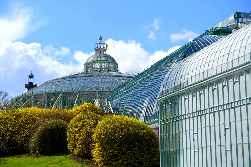 Winter Garden - Laeken Royal Greenhouses - Royal Castle of Laeken - Brussels, Belgium - DSC07396
