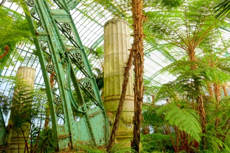 Winter Garden interior detail - Laeken Royal Greenhouses - Royal Castle of Laeken - Brussels, Belgium - DSC07452