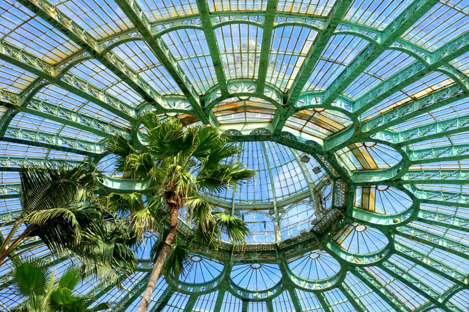 Winter Garden dome interior - Laeken Royal Greenhouses - Royal Castle of Laeken - Brussels, Belgium - DSC07508